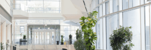 Cooper Norcross Health Advances $650M Camden Tower